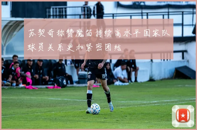 苏契奇称赞魔笛持续高水平国家队球员关系更加紧密团结